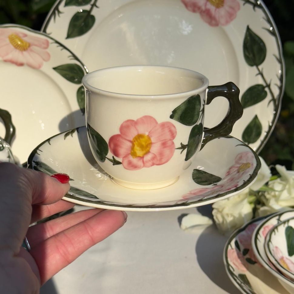 Чайная пара ВиллеройБох Wild-Rose 220 мл Люксембург