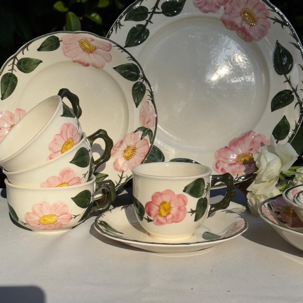 Чайная пара ВиллеройБох Wild-Rose 220 мл Люксембург