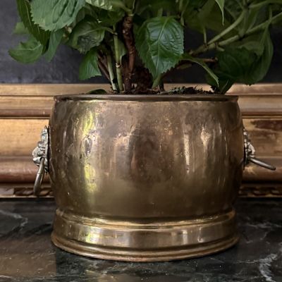 Кашпо Лев 17 см медь 