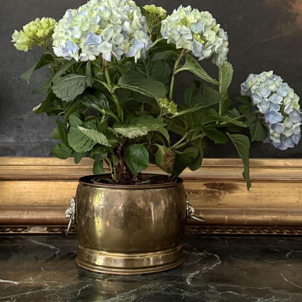 Кашпо Лев 17 см медь 