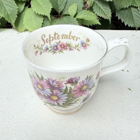 Кружка Royal Albert Michaelmas daisy 12 месяцев Сентябрь 280 мл Англия  