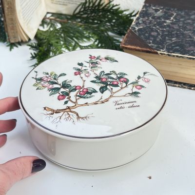 Шкатулка Botanica Vaccinium vitis Idaea ВиллеройБох 15 см