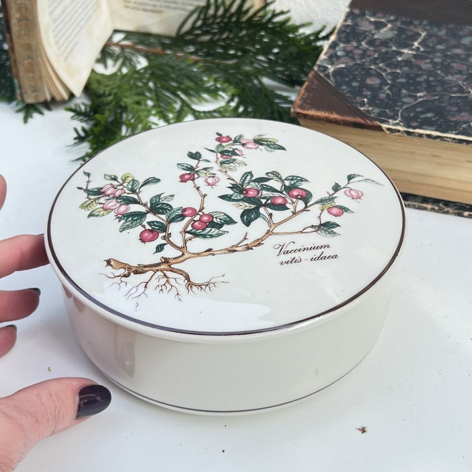 Шкатулка Botanica Vaccinium vitis Idaea ВиллеройБох 15 см