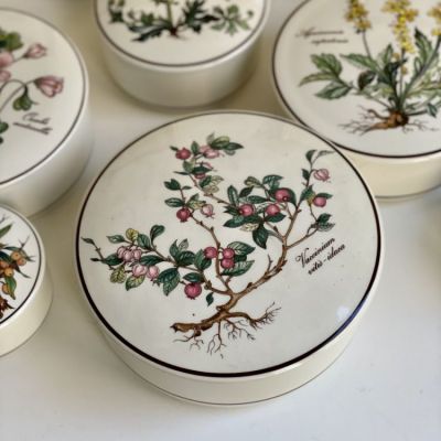 Шкатулка Botanica Vaccinium vitis Idaea ВиллеройБох 15 см
