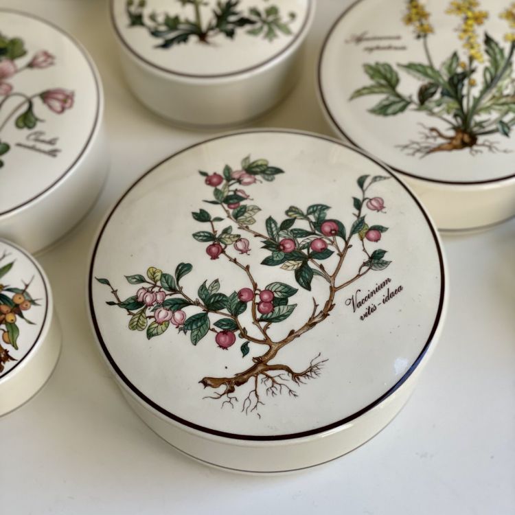 Шкатулка Botanica Vaccinium vitis Idaea ВиллеройБох 15 см