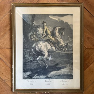 Картина гравюра 49х60 см см в раме под стеклом