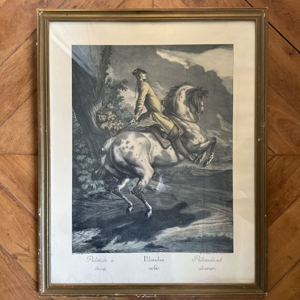 Картина гравюра 49х60 см см в раме под стеклом