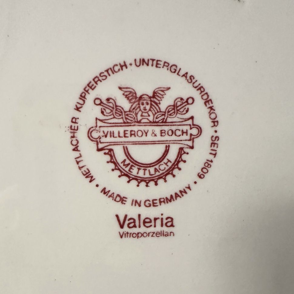 Бульонная пара Valeria ВиллеройБох 300 мл Германия