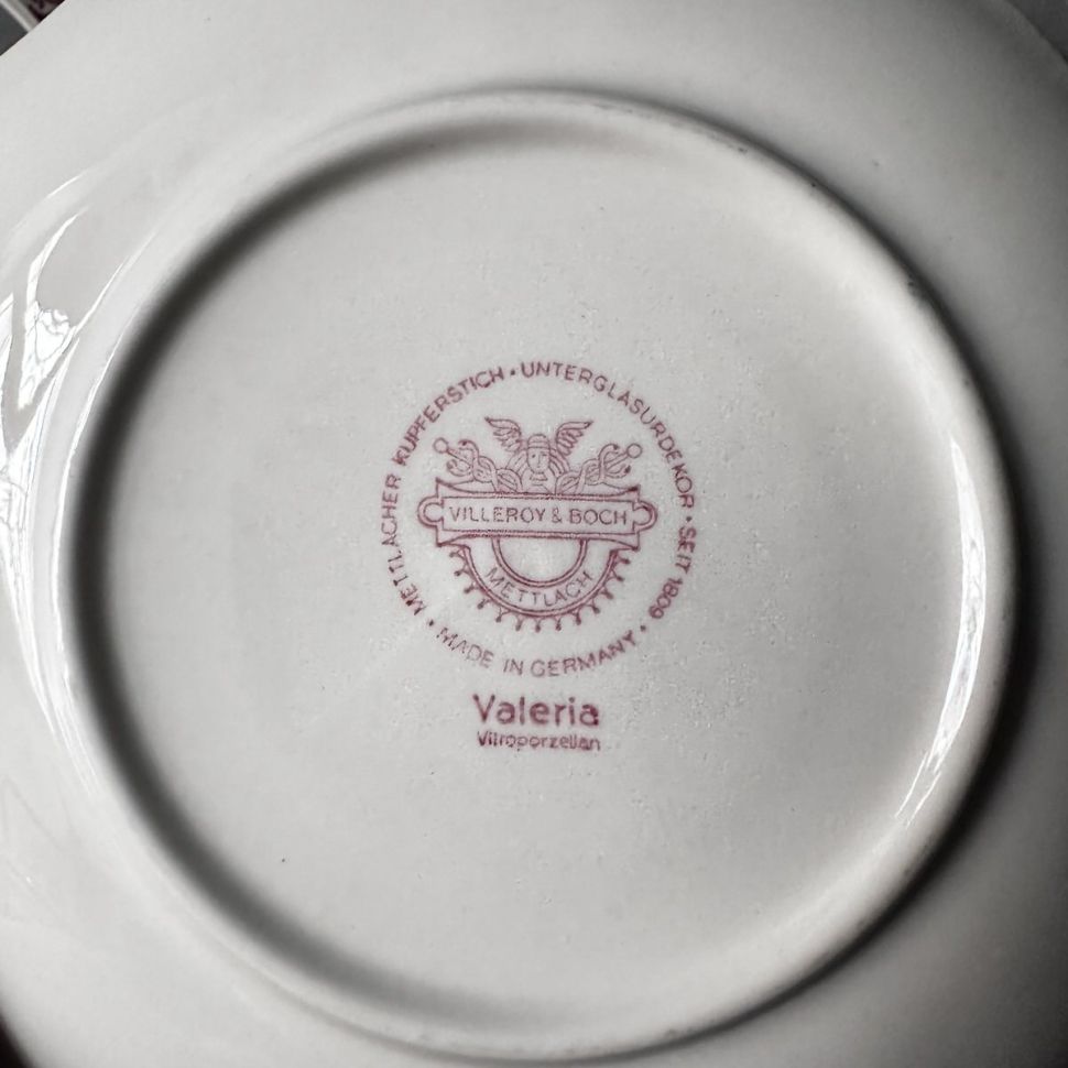 Бульонная пара Valeria ВиллеройБох 300 мл Германия