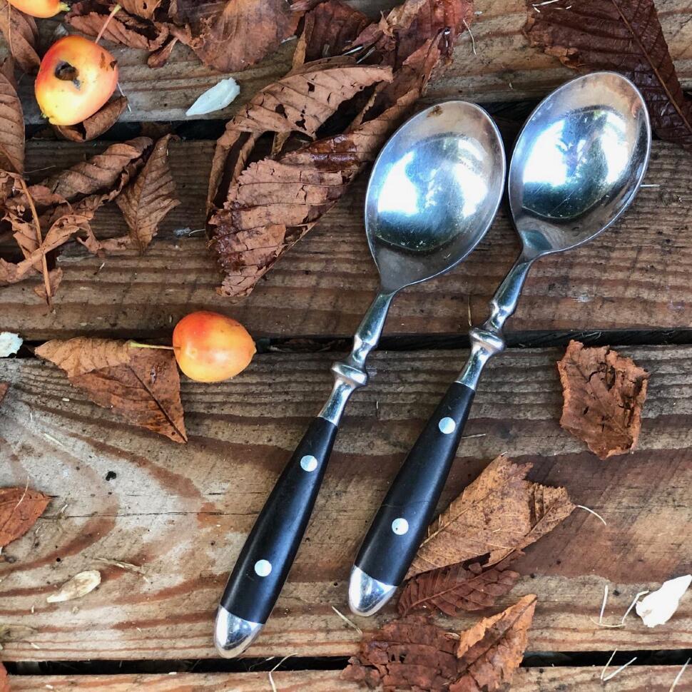 Ложка столовая 19 см сталь бакелит