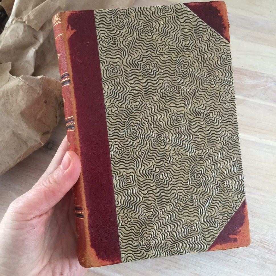 Книга Вернера фон Хейденстама, Hans Alienus, шведский