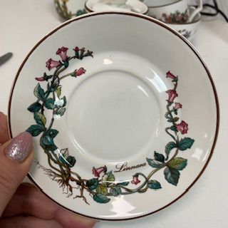 Блюдце Botanica ВиллеройБох 12 см