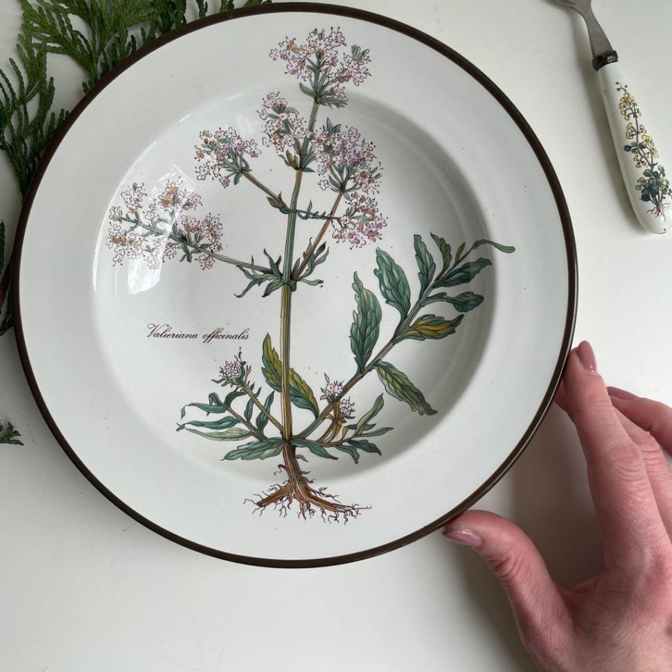 Тарелка глубокая 22 см Botanica ВиллеройБох 80-е гг. синее клеймо