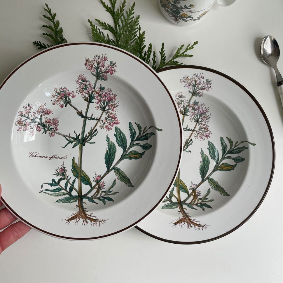 Тарелка глубокая 22 см Botanica ВиллеройБох 80-е гг. синее клеймо