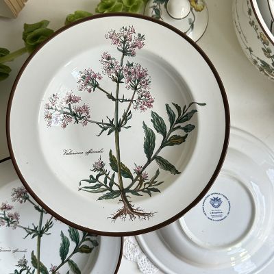 Тарелка глубокая 22 см Botanica ВиллеройБох 80-е гг. синее клеймо