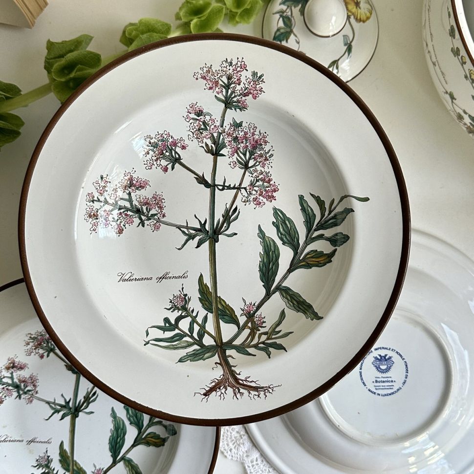 Тарелка глубокая 22 см Botanica ВиллеройБох 80-е гг. синее клеймо