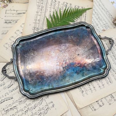 Блюдо поднос Orbrille 52 см серебрение 