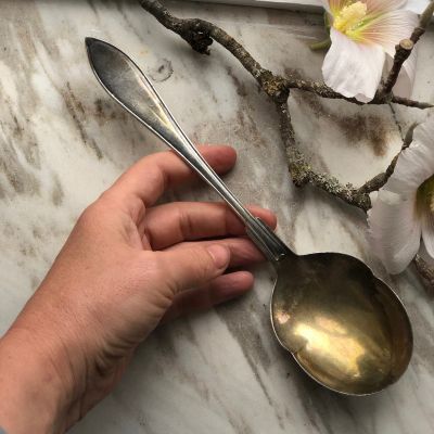 Ложка салатная 22 см Лепесток мельхиор патина