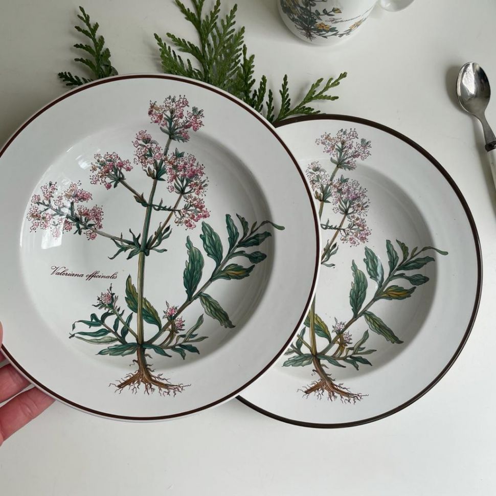 Тарелка глубокая Botanica Valeriana officinalis ВиллеройБох 22 см Люксембург
