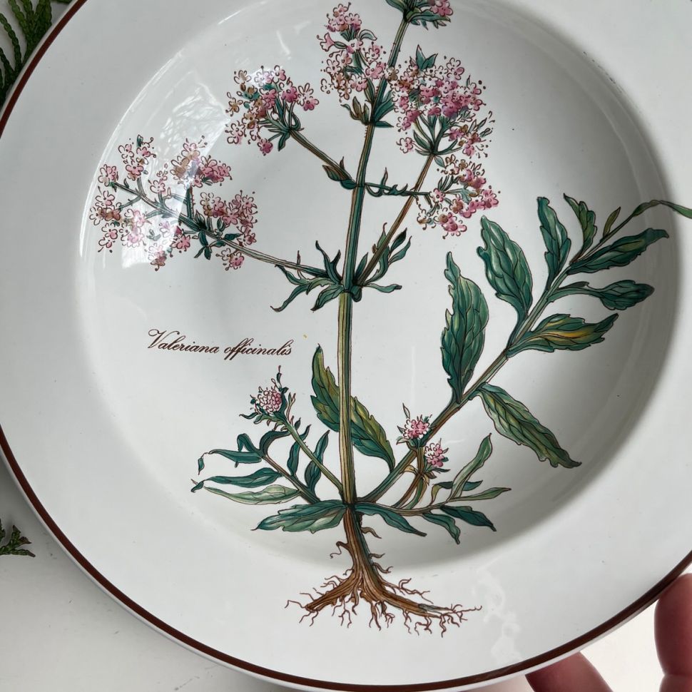 Тарелка глубокая Botanica Valeriana officinalis ВиллеройБох 22 см Люксембург