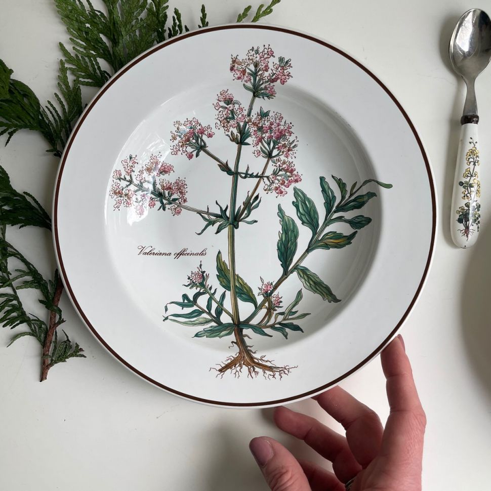 Тарелка глубокая Botanica Valeriana officinalis ВиллеройБох 22 см Люксембург