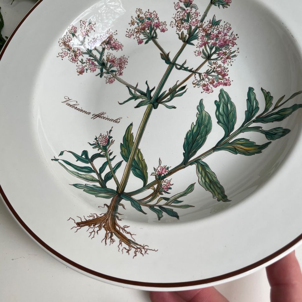 Тарелка глубокая Botanica Valeriana officinalis ВиллеройБох 22 см Люксембург