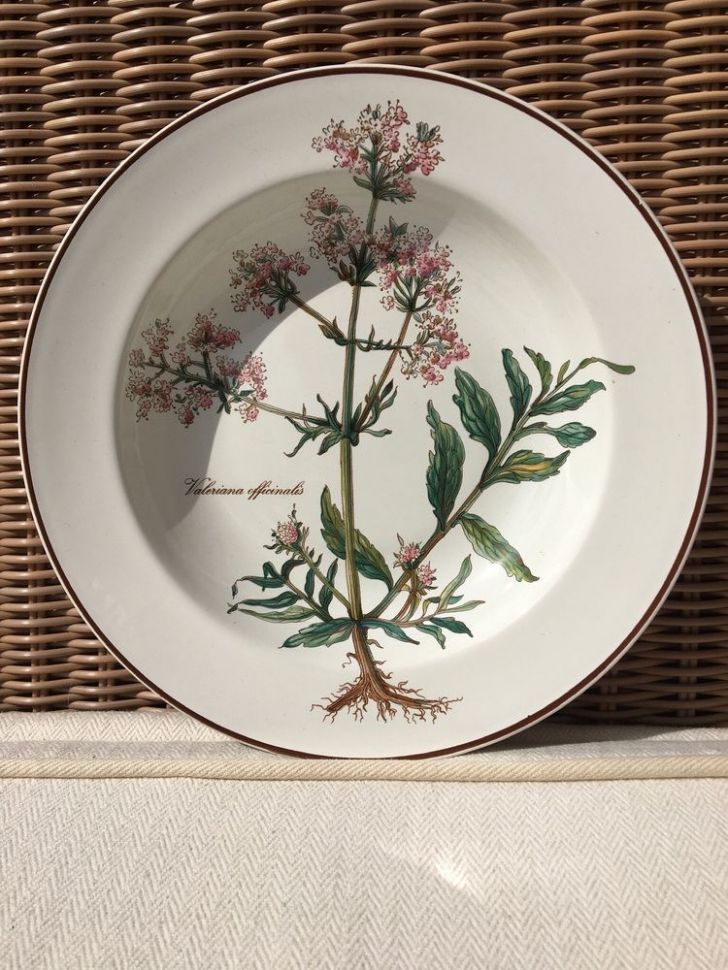 Тарелка глубокая Botanica Valeriana officinalis ВиллеройБох 22 см Люксембург