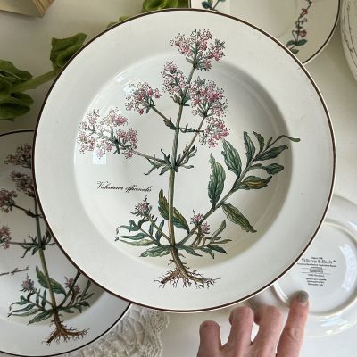 Тарелка глубокая Botanica Valeriana officinalis ВиллеройБох 22 см Люксембург