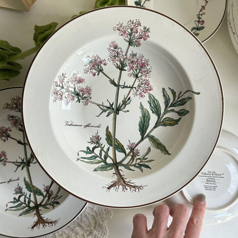 Тарелка глубокая Botanica Valeriana officinalis ВиллеройБох 22 см Люксембург