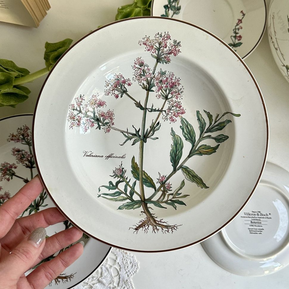 Тарелка глубокая Botanica Valeriana officinalis ВиллеройБох 22 см Люксембург