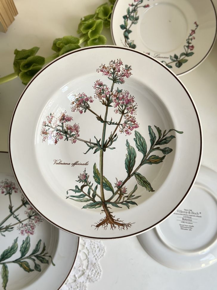 Тарелка глубокая Botanica Valeriana officinalis ВиллеройБох 22 см Люксембург
