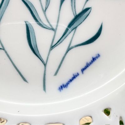 Тарелка Schumann Arzberg Tradition Myosotis palustris 19 см Бавария