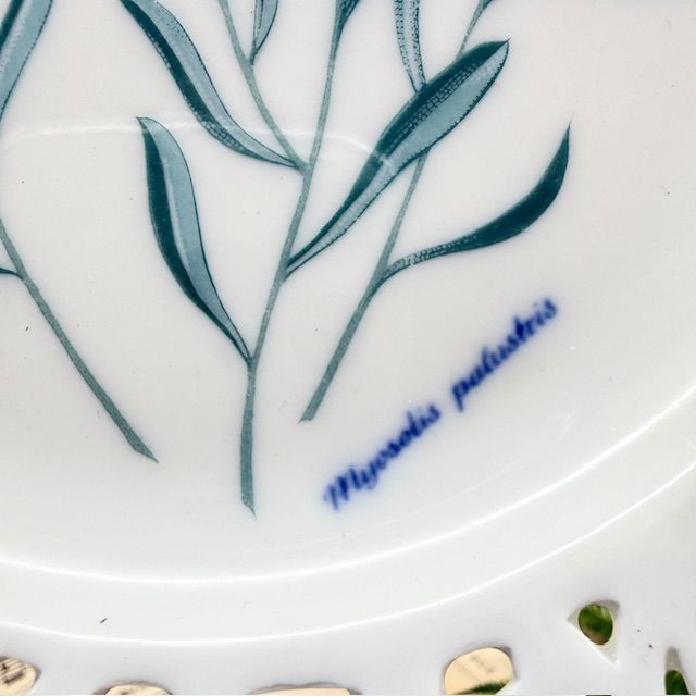 Тарелка Schumann Arzberg Tradition Myosotis palustris 19 см Бавария