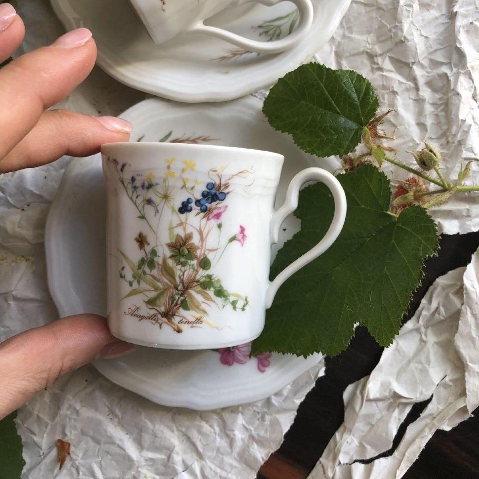 Кофейная пара Seltmann Weiden Germany, рисунок Anagallis