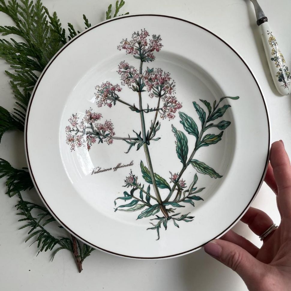 Тарелка глубокая Botanica ВиллеройБох 2000-е 22 см без корешка