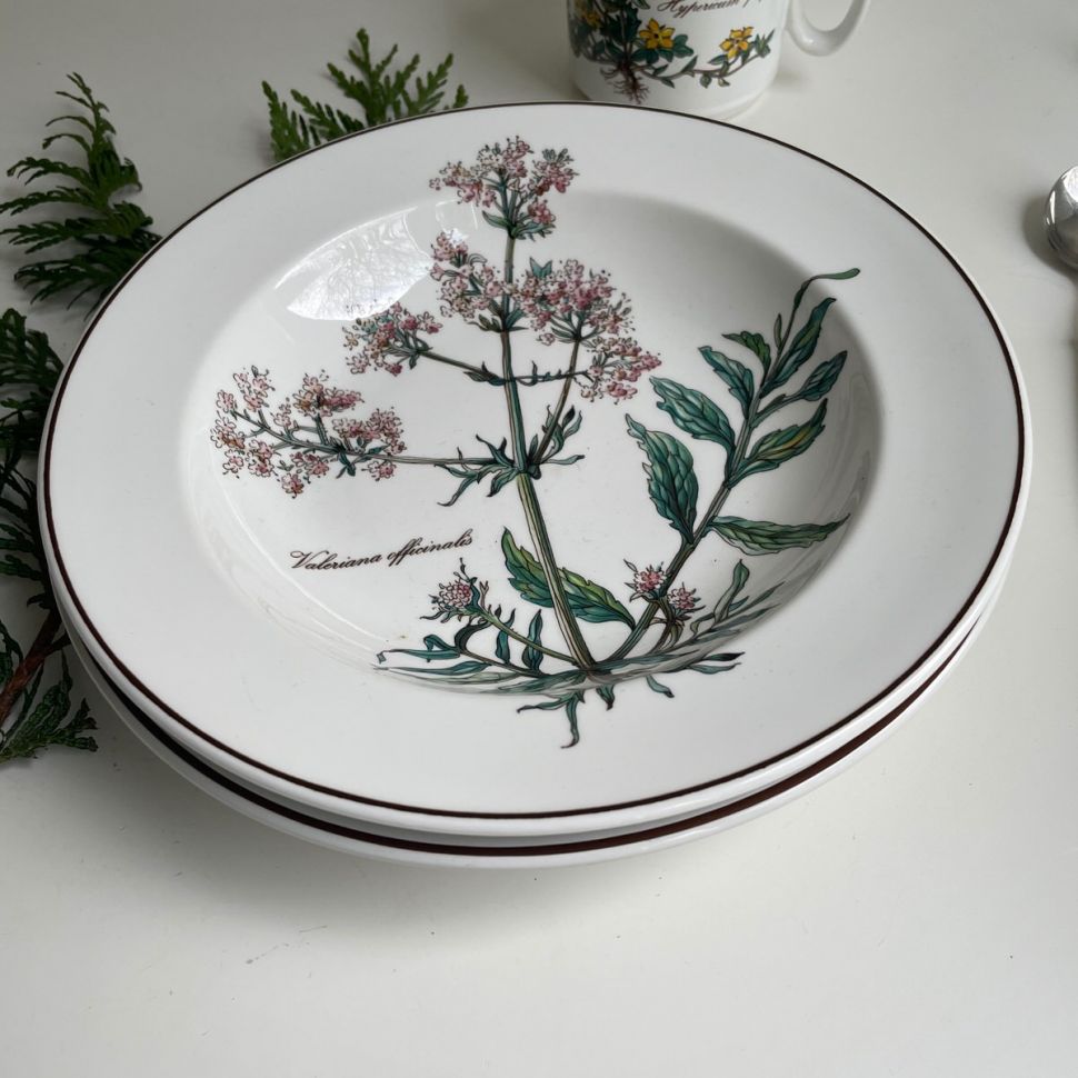 Тарелка глубокая Botanica ВиллеройБох 2000-е 22 см без корешка