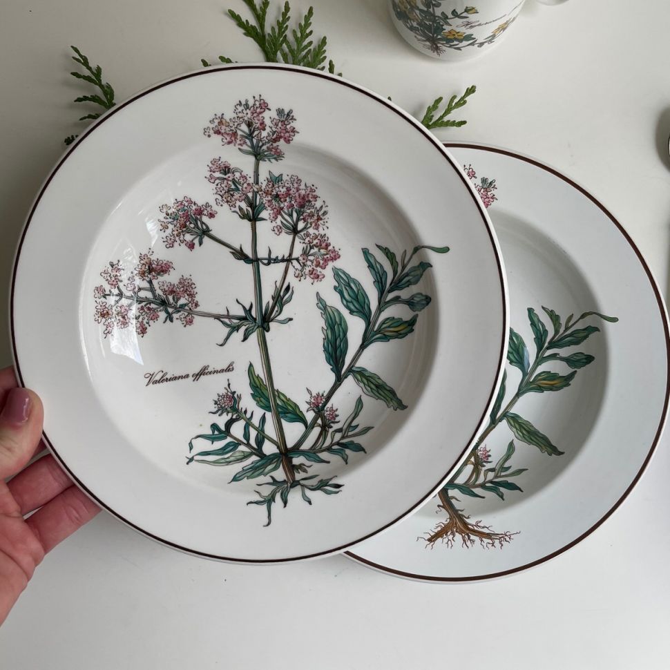 Тарелка глубокая Botanica ВиллеройБох 2000-е 22 см без корешка