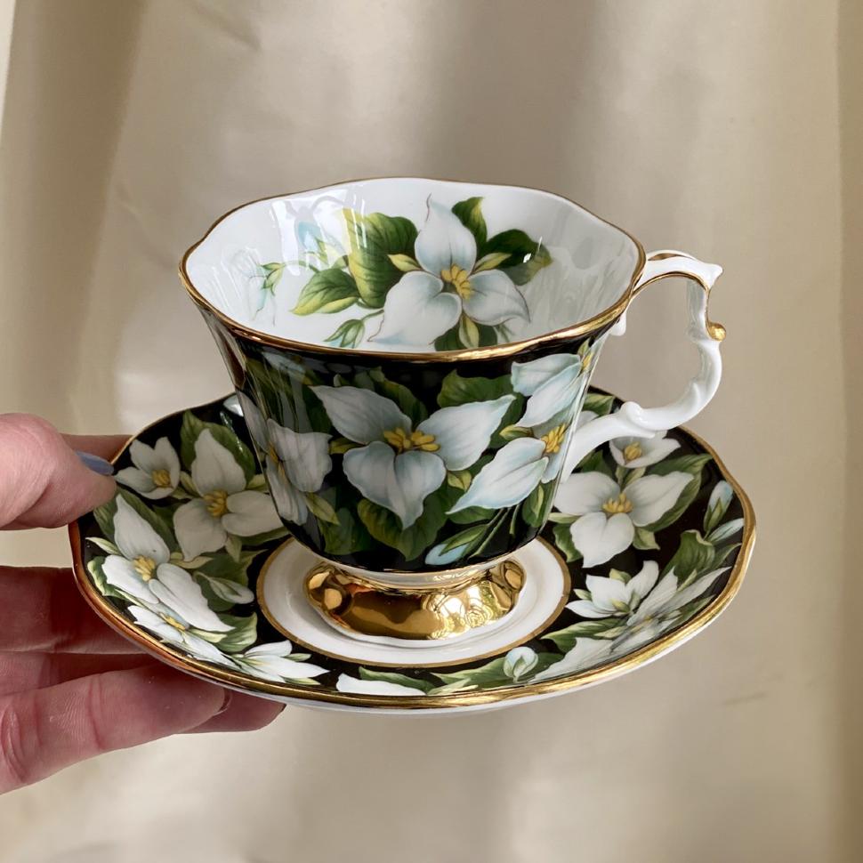 Чайная пара черный Royal Albert Provincial Flowers Trillium 200 мл Англия