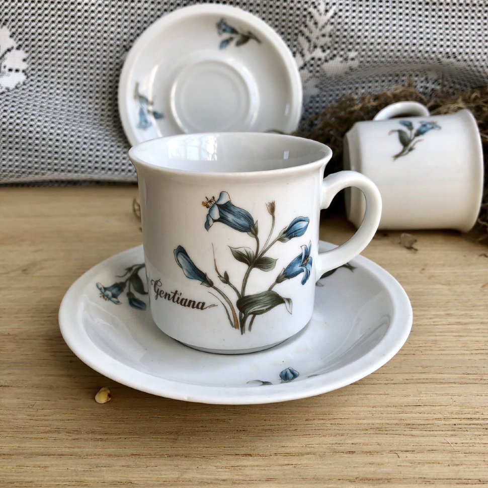 Кофейная пара Winterling Roslau