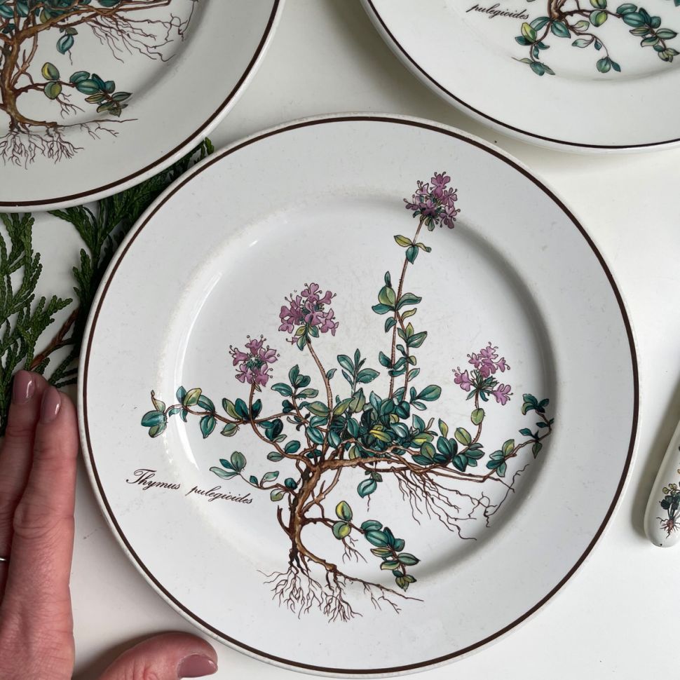 Тарелка для завтрака Thymus Botanica 21 см 80-90-е ВиллеройБох