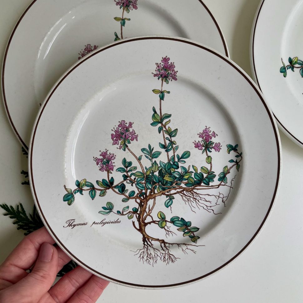 Тарелка для завтрака Thymus Botanica 21 см 80-90-е ВиллеройБох