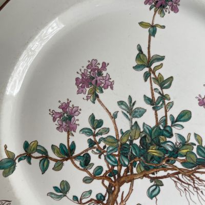 Тарелка для завтрака Botanica Thymus ВиллеройБох 21 см
