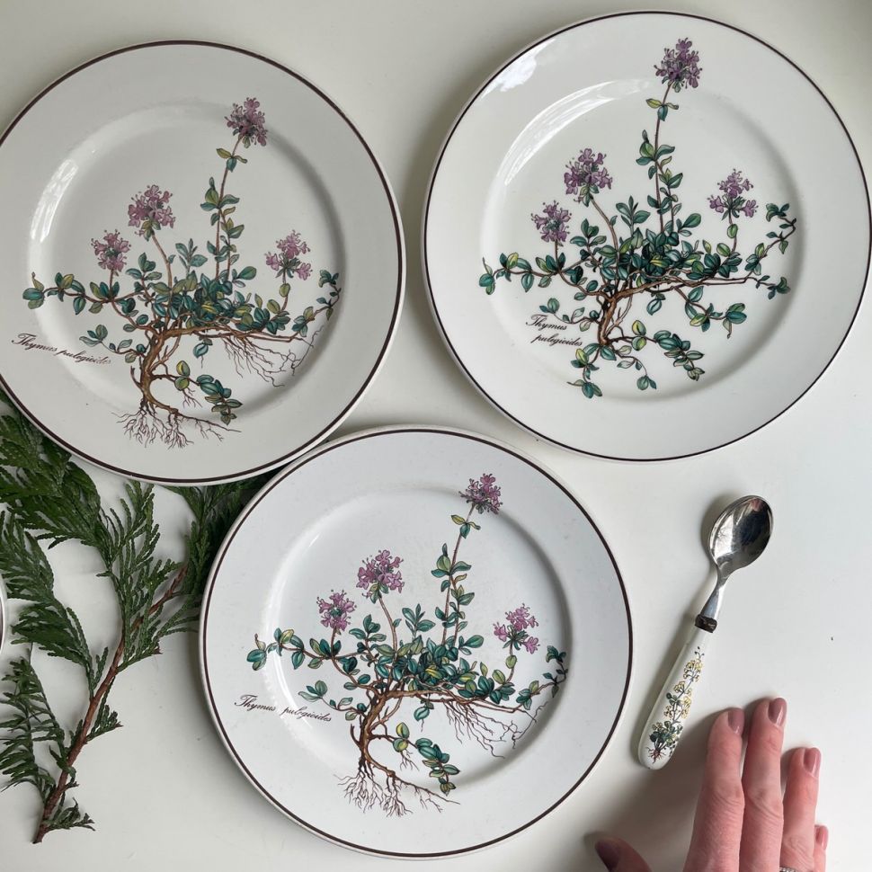 Тарелка для завтрака Thymus Botanica 21 см 80-90-е ВиллеройБох