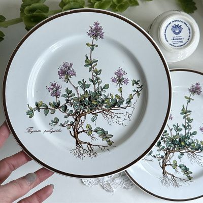 Тарелка для завтрака Botanica Thymus ВиллеройБох 21 см