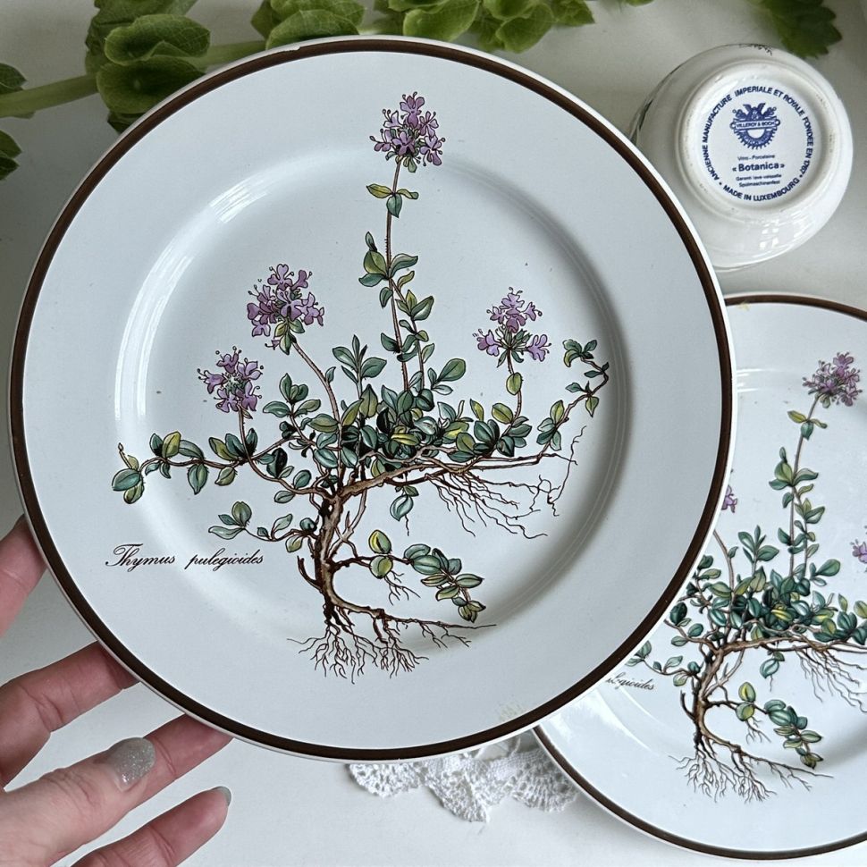 Тарелка для завтрака Thymus Botanica 21 см 80-90-е ВиллеройБох