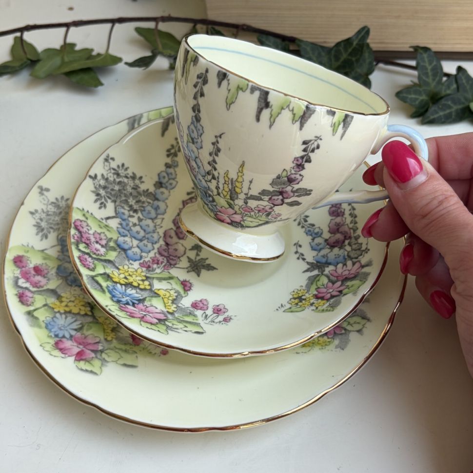 Чайное трио EB Foley Foxglove 200 мл Англия 