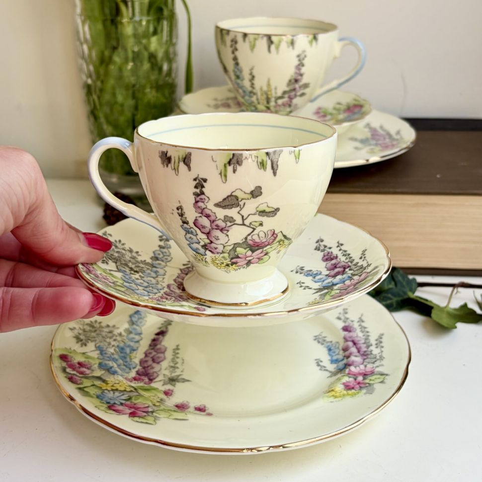 Чайное трио EB Foley Foxglove 200 мл Англия 