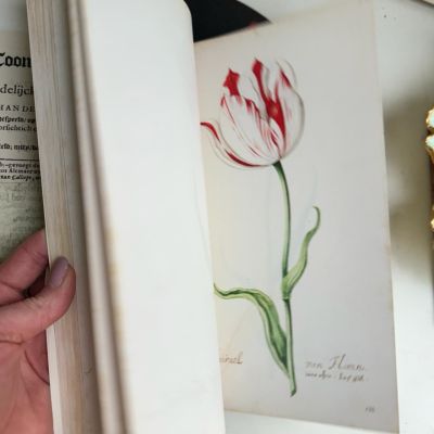Книга о тюльпанах Tulipbook Нидерланды с переводом