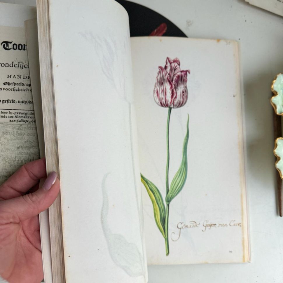 Книга о тюльпанах Tulipbook Нидерланды с переводом