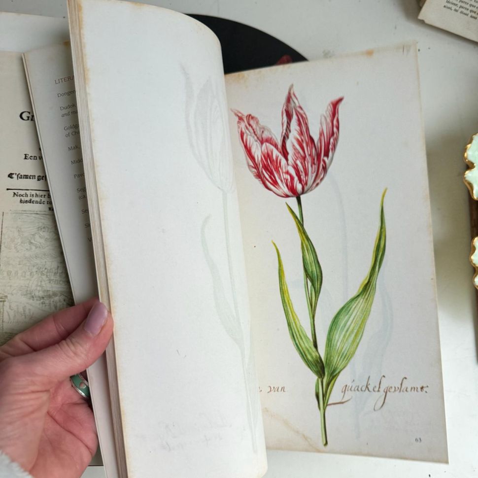 Книга о тюльпанах Tulipbook Нидерланды с переводом